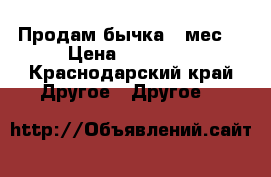 Продам бычка 1 мес  › Цена ­ 12 000 - Краснодарский край Другое » Другое   